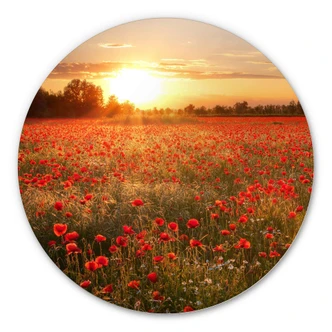 Alu-Dibond Wall Circle Poppy Flower Field 