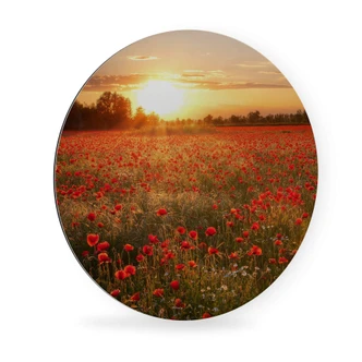 Alu-Dibond Wall Circle Poppy Flower Field 