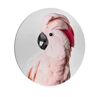 Alu-Dibond Wall Circle Sisi & Seb - Pink Cockatoo 