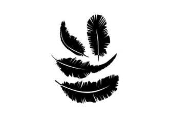 Feather Set Wall sticker 