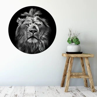 Wall sticker round - Lion 
