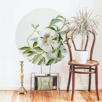 Wall sticker round Ehret - Rose 