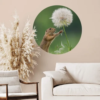Wall sticker Dick van Duijn - Squirrel with dandelion - round 