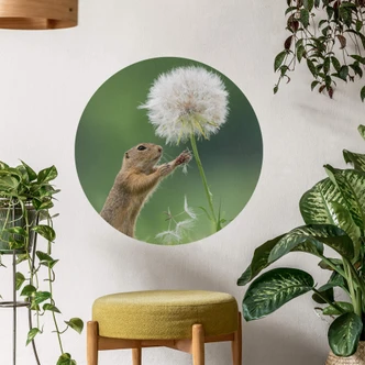 Wall sticker Dick van Duijn - Squirrel with dandelion - round 