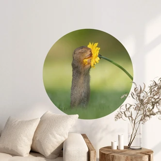 Wall sticker Dick van Duijn - Squirrel smelling flower - round 