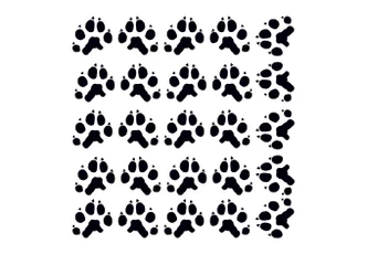 Cat\'s Paws Wall sticker 