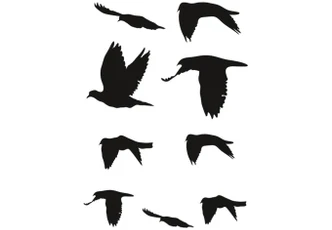 Flock of Birds Wall sticker 