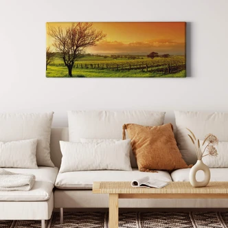Vineyard Panorama Canvas print 